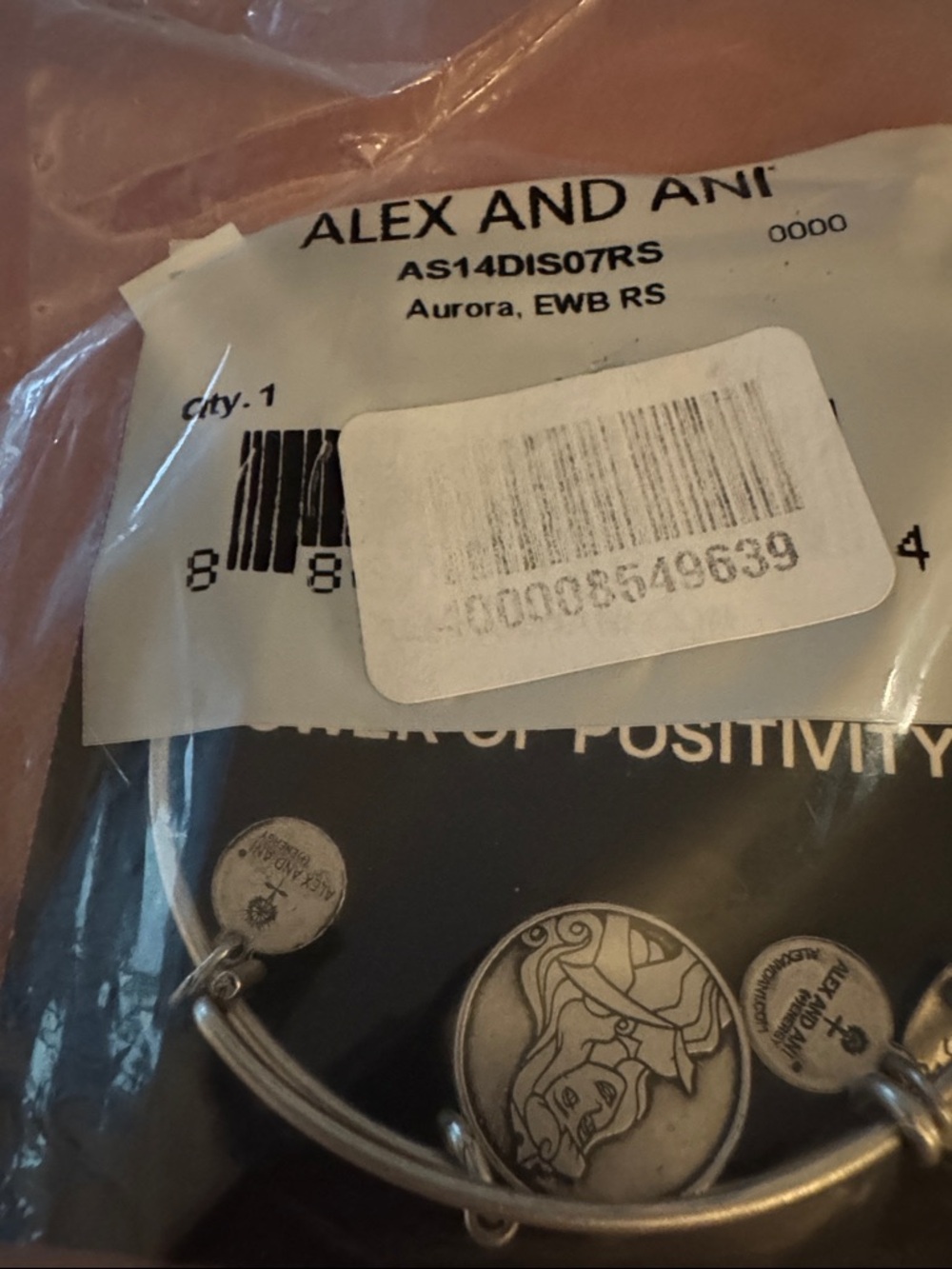 Alex and Ani Disney Parks Aurora Positivity Silver Charm Bangle